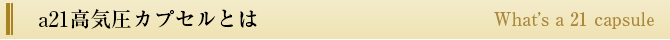 a21ヒーリング